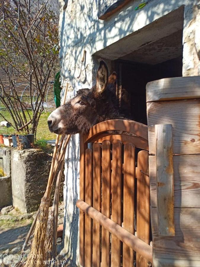 Agriturismo Cascina Gervasoni San Giovanni Bianco Zewnętrze zdjęcie